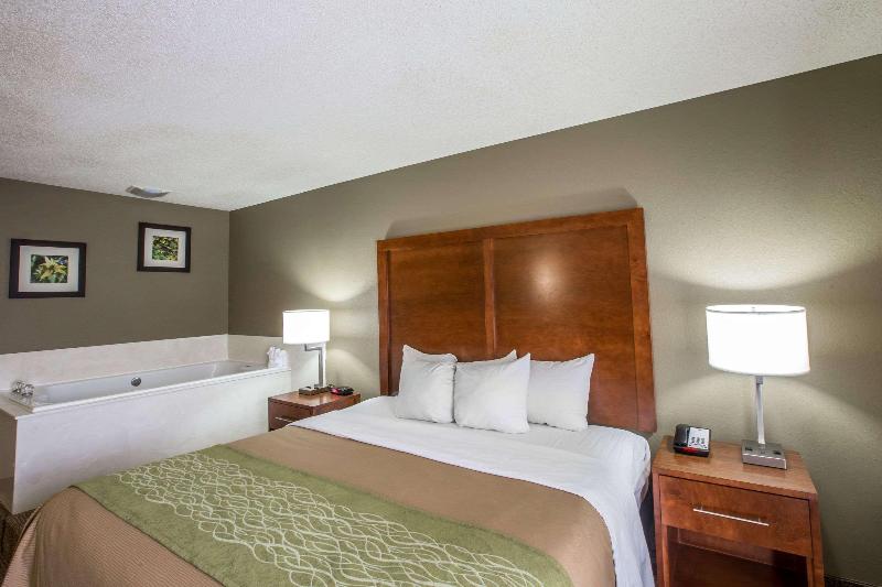 带大床的标准间, Comfort Inn & Suites At Dollywood Lane