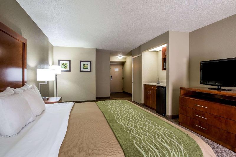 带大床的标准间, Comfort Inn & Suites At Dollywood Lane