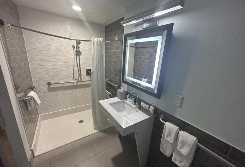 장애인을 위한 스탠다드 룸, Holiday Inn Express   Dallas Downtown, An Ihg