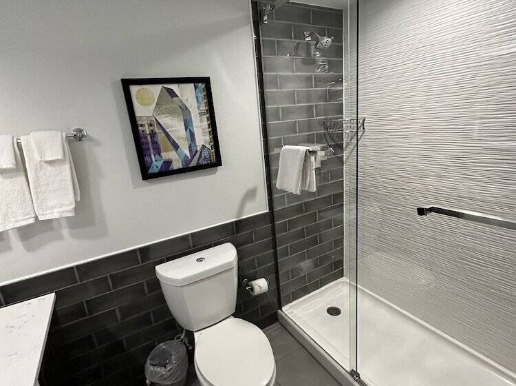 스탠다드 룸, Holiday Inn Express   Dallas Downtown, An Ihg