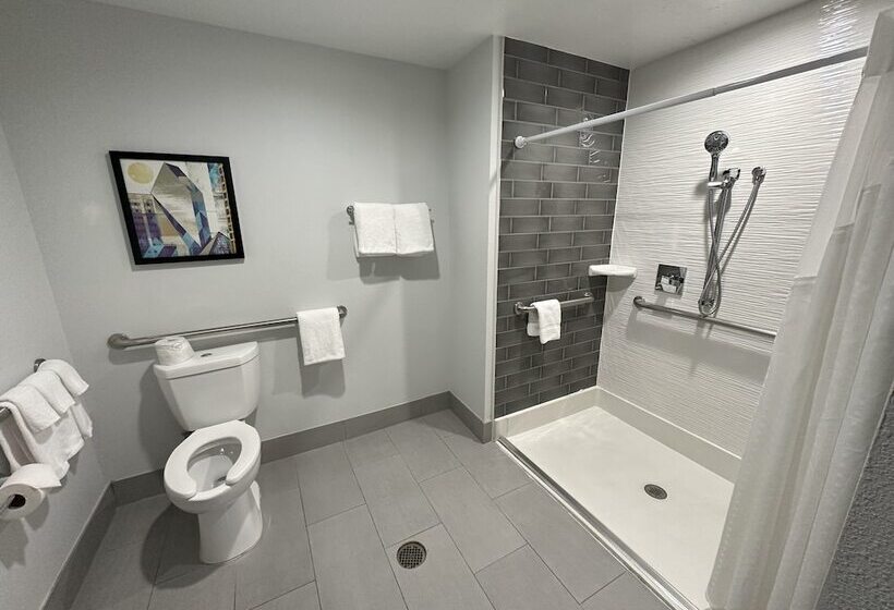 스탠다드 룸, Holiday Inn Express   Dallas Downtown, An Ihg