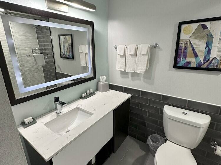 스탠다드 룸 더블 침대 2개, Holiday Inn Express   Dallas Downtown, An Ihg
