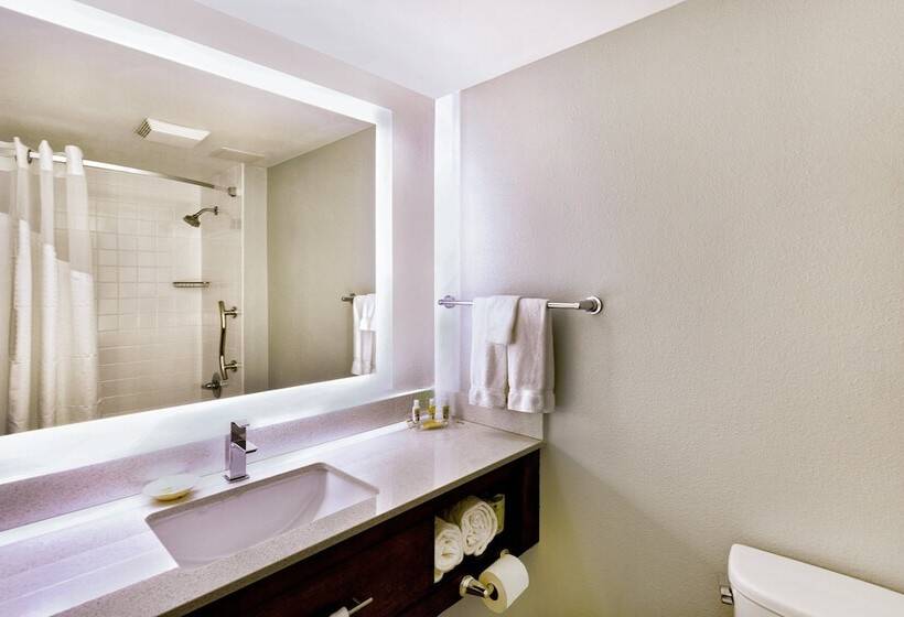 Номер Стандарт 2 Двуспальные Кровати, Holiday Inn Miami West Airport Area, An Ihg