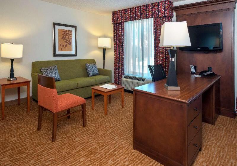Pokój Typu Standard Łóżko King Przystosowany dla Osób Niepełnosprawnych, The Park Vista   A Doubletree By Hilton Hotel   Gatlinburg