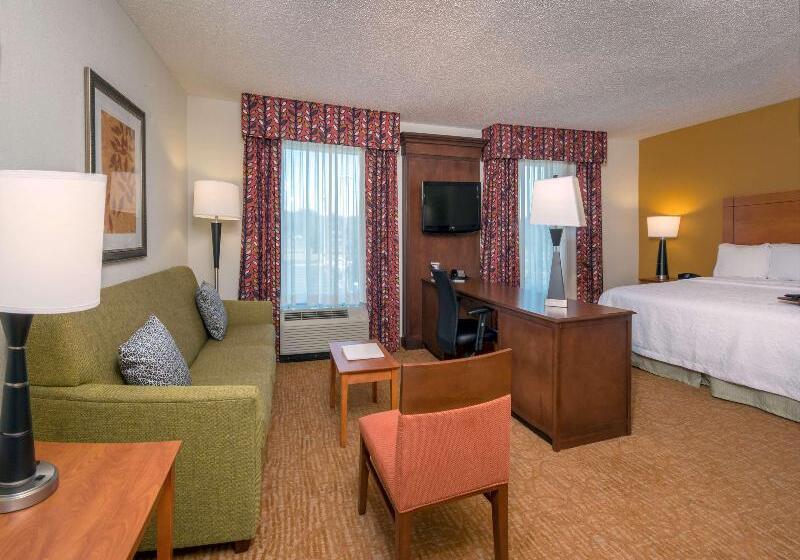 Pokój Typu Standard Łóżko King Przystosowany dla Osób Niepełnosprawnych, The Park Vista   A Doubletree By Hilton Hotel   Gatlinburg