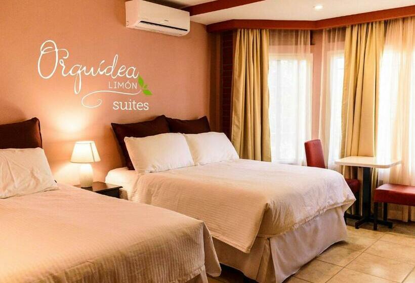 Habitación Deluxe, Orquidea Limon Hotel Boutique