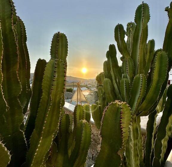 سوییت خانوادگی, Sofos Suites Mykonos