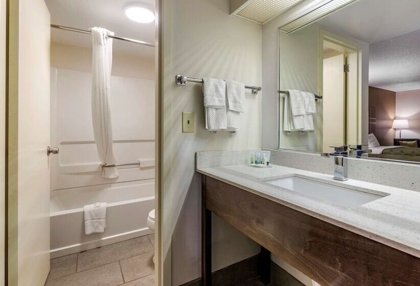 חדר סטנדרט שתי מיטות זוגיות, Quality Inn Brunswick