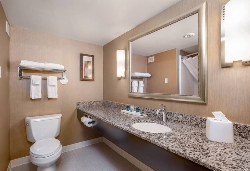 Люкс, Delta Hotels By Marriott Fargo