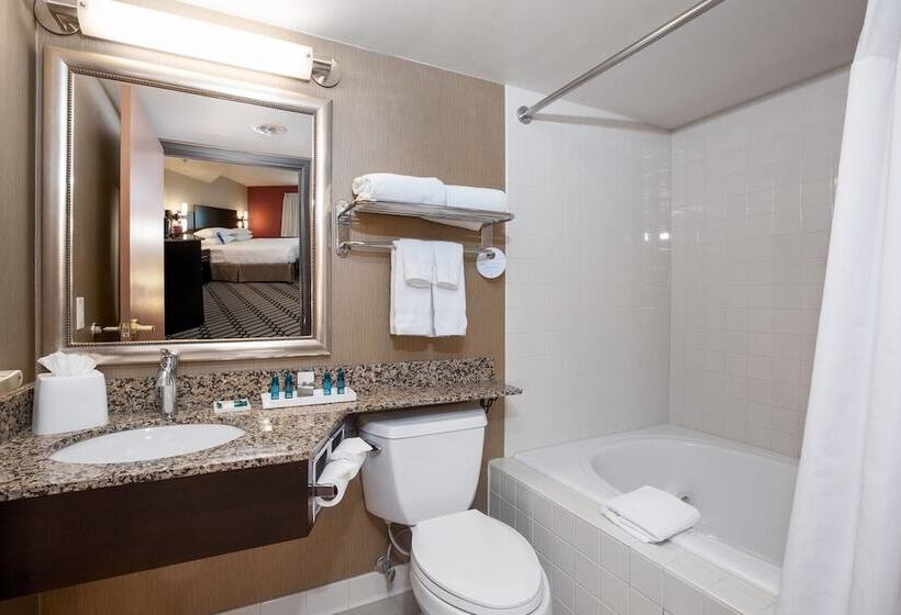 Люкс, Delta Hotels By Marriott Fargo