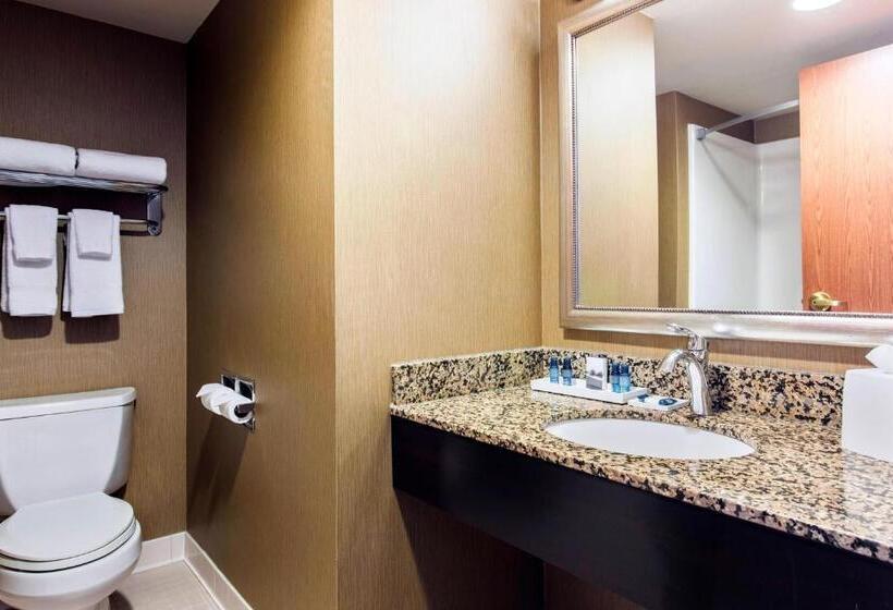 Люкс, Delta Hotels By Marriott Fargo