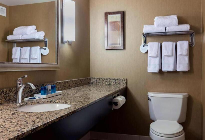 Люкс Кровать Кинг, Delta Hotels By Marriott Fargo