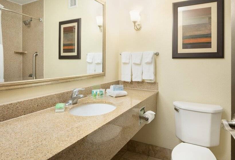 스위트, Holiday Inn And Suites Charleston West, An Ihg
