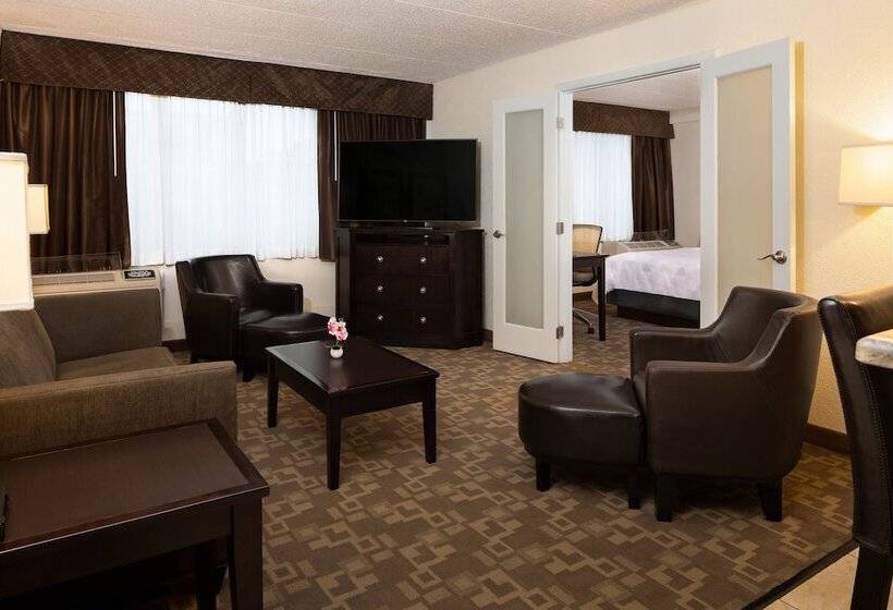 스위트, Holiday Inn And Suites Charleston West, An Ihg