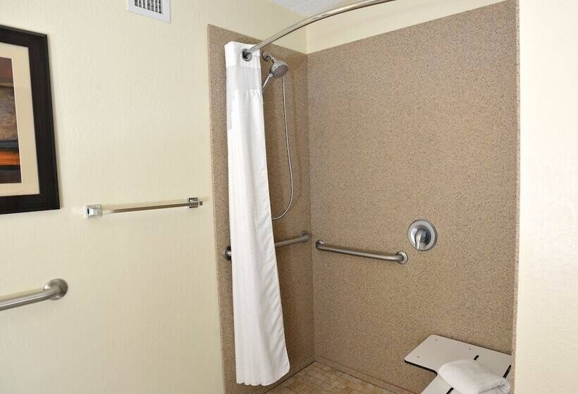 장애인을 위한 스위트, Holiday Inn And Suites Charleston West, An Ihg