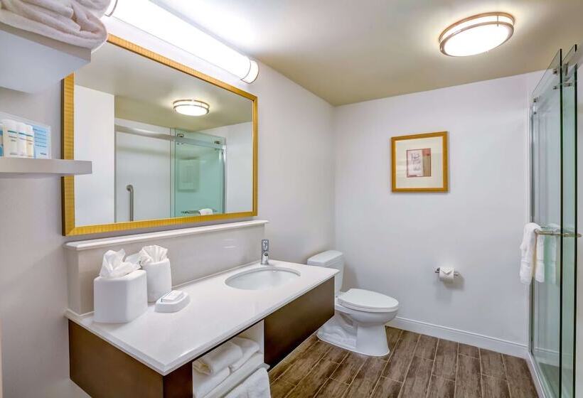 스탠다드 룸, Hampton Inn Bostonnorwood