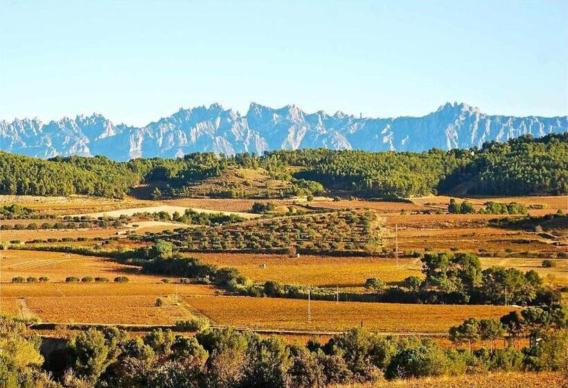 Номер Стандарт, Rural Hd Riudebitlles Art I Allotjament