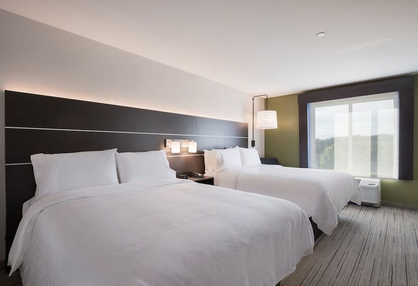 带2个双人床的标准工作室, Holiday Inn Express & Suites Chicago   Hoffman Estates, An Ihg