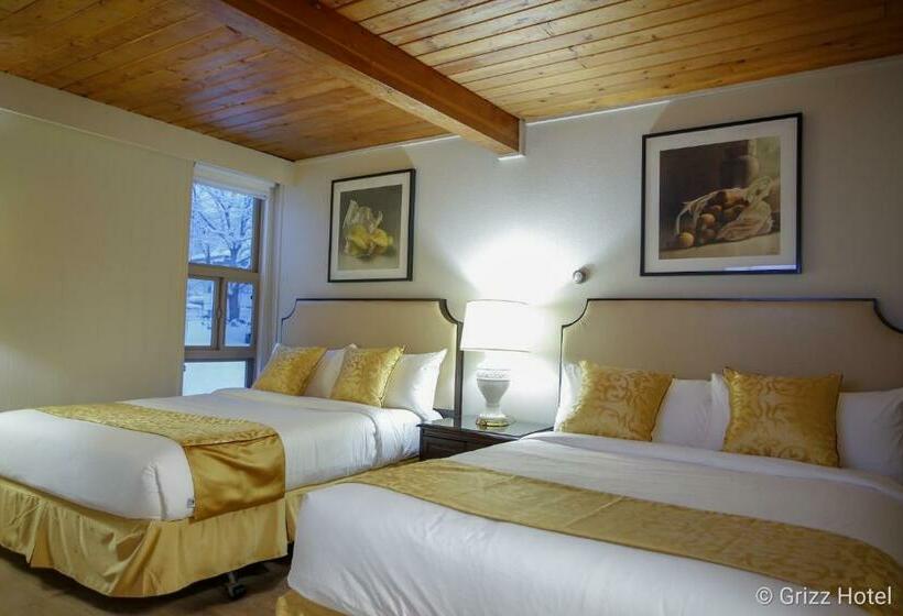 Quarto Estandar, Grizz