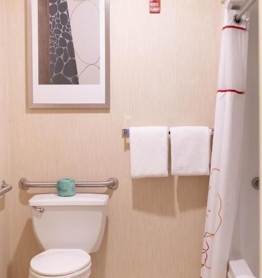 Люкс Deluxe 2 Спальни, Hawthorn Suites By Wyndham Erie
