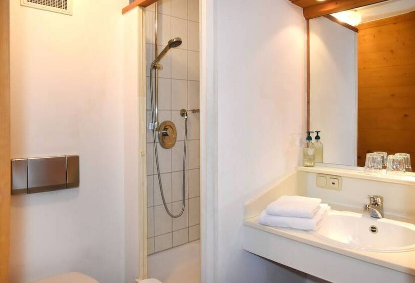 Номер Стандарт, Alps Hostel