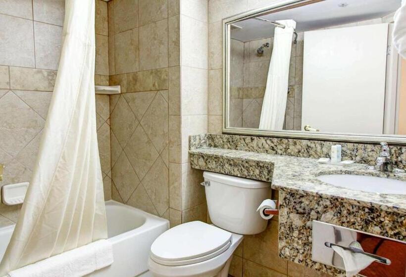 스탠다드 룸 더블 침대 2개, Comfort Inn Birmingham Homewood