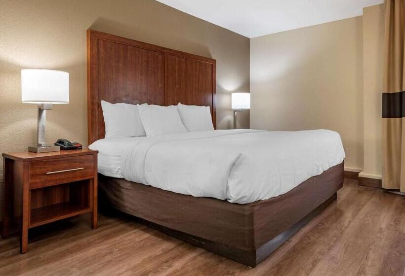 스탠다드 룸 킹사이즈 침대, Comfort Inn Birmingham Homewood