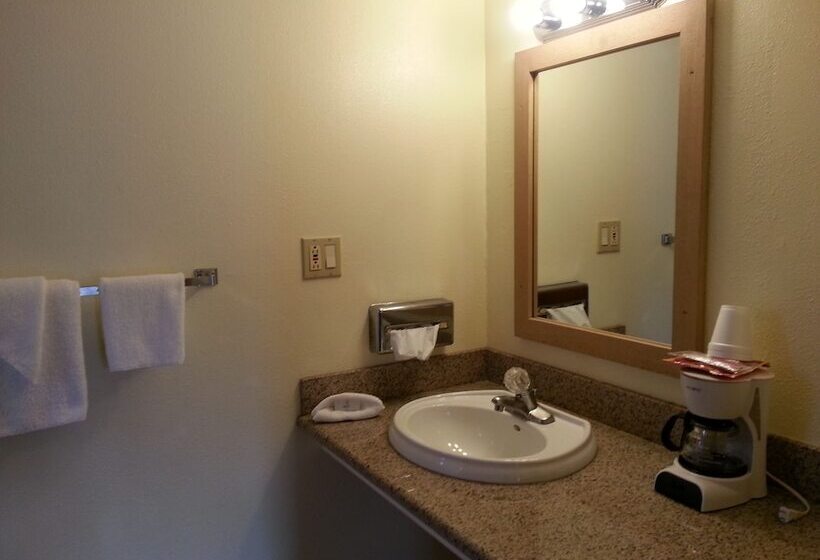 Номер Deluxe, Shelton Inn
