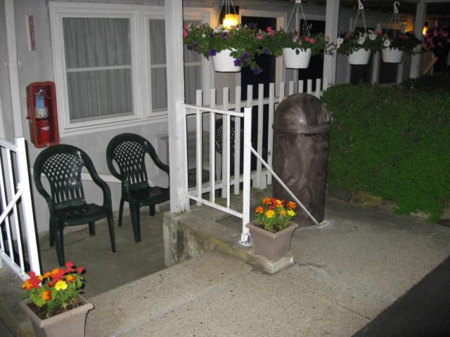 经济房, Sea Whale Motel