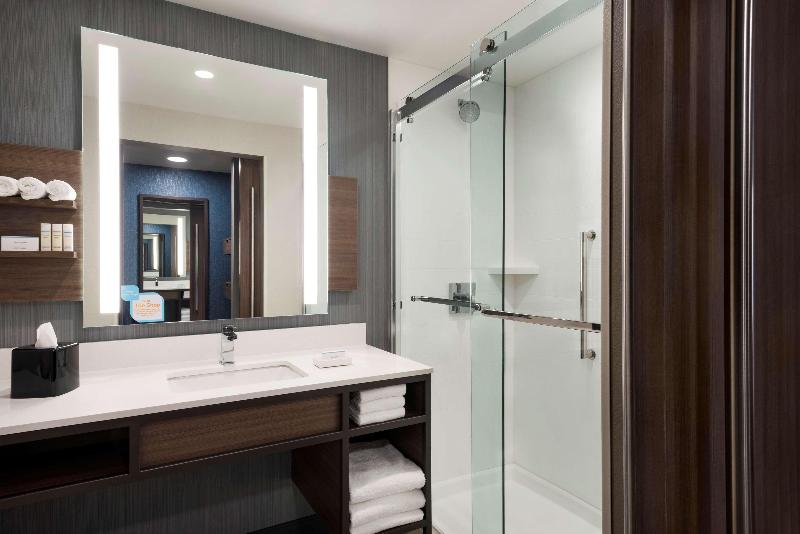 스탠다드 룸 킹사이즈 침대, Hilton Garden Inn Milwaukee Brookfield Conference Center, Wi