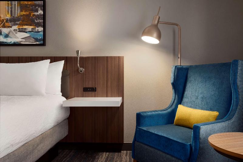 스탠다드 룸 킹사이즈 침대, Hilton Garden Inn Milwaukee Brookfield Conference Center, Wi
