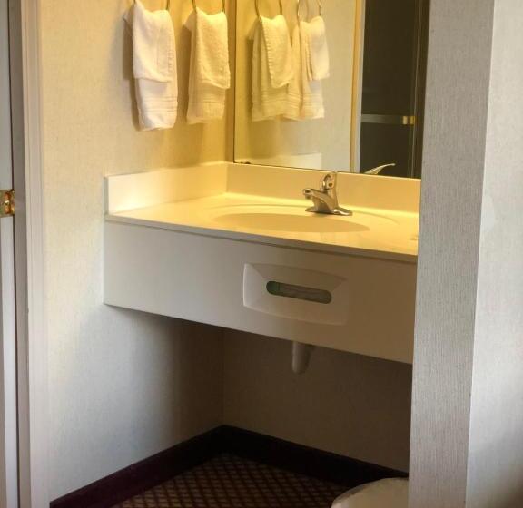 Одноместный Номер Стандарт Адаптированный для Инвалидов, Airport Lodging Pittsburgh Airport