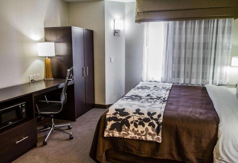Номер Стандарт Кровать Кинг Адаптированный для Инвалидов, Sleep Inn Gallup