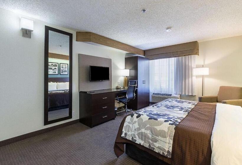 스위트 킹사이즈 침대, La Vista Inn