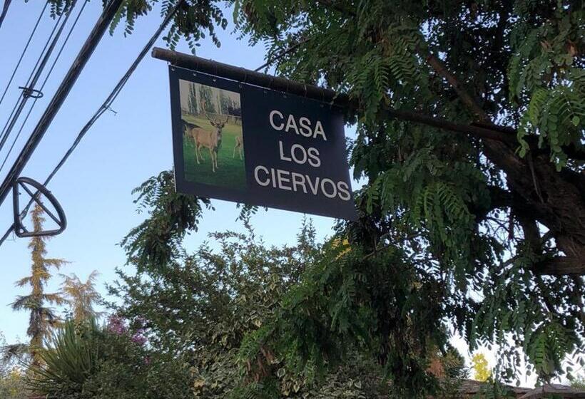 سوییت, Casa Los Ciervos