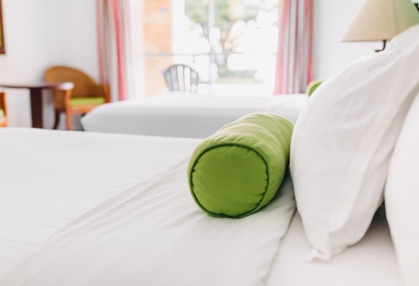 Номер Стандарт 2 Двуспальные Кровати, Royal Decameron Panama Plus   All Inclusive
