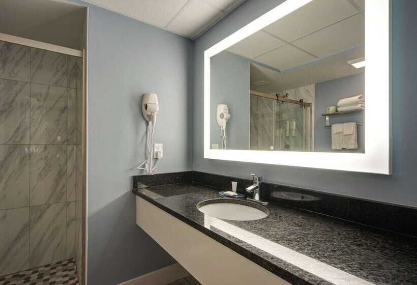 חדר סטנדרט שתי מיטות זוגיות, Clarion Pointe Tampa Brandon Near Fairgrounds And Casino
