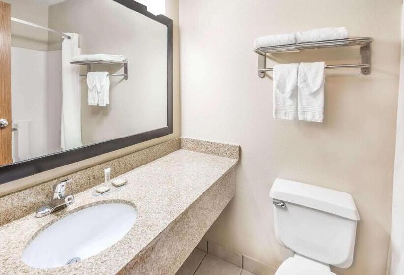 Quarto standard, Super 8 By Wyndham Bloomington University Area