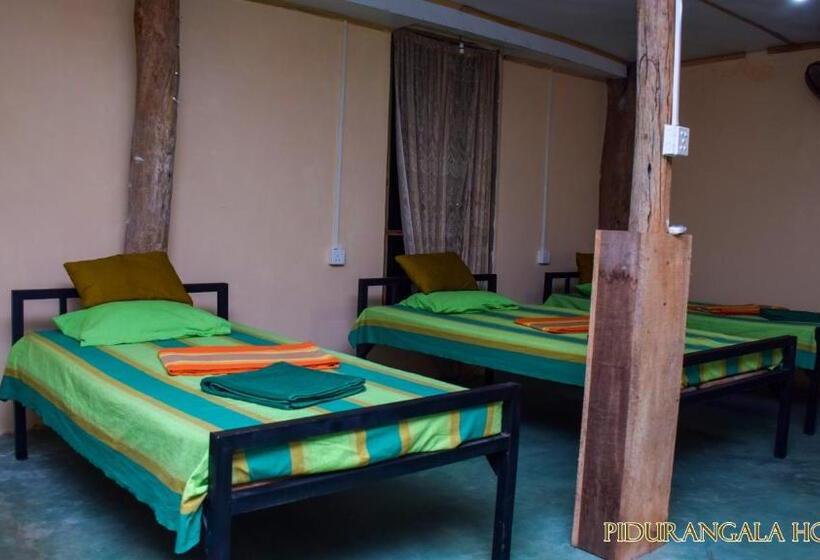 מיטה בחדר משותף, Pidurangala Hostel