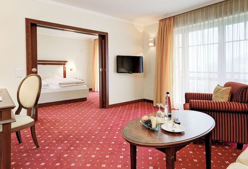 Номер Deluxe Одноместный, Kurhotel Zink
