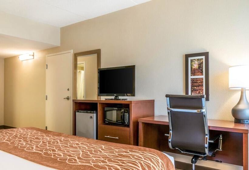 Люкс Адаптированный для Инвалидов, Comfort Inn