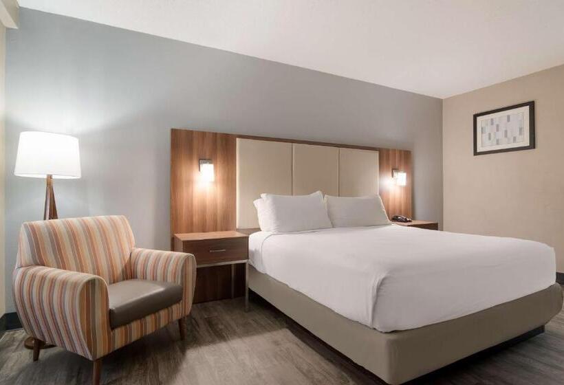 스탠다드 룸 킹사이즈 침대, Surestay Hotel By Best Western Helen Downtown