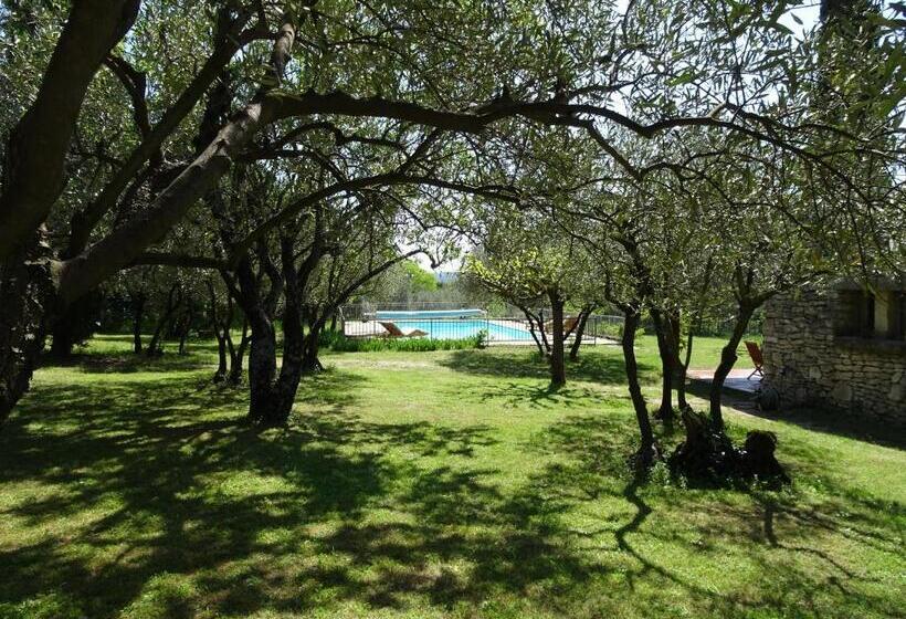اتاق استاندارد با چشم‌انداز باغ, La Maison Des Olivettes