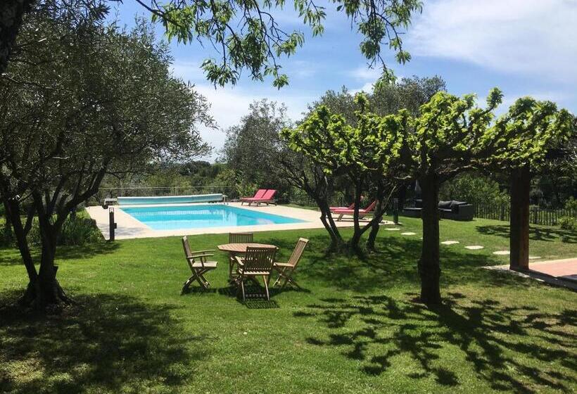 اتاق استاندارد با چشم‌انداز باغ, La Maison Des Olivettes