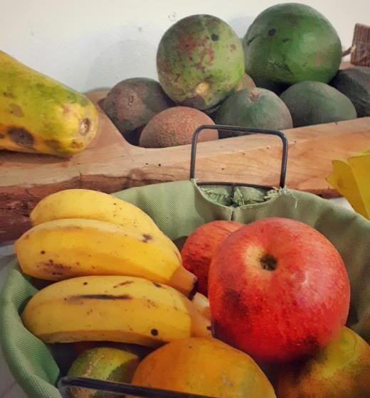 공동 객실, Ecohostel Dos Canyons Santa Catarina