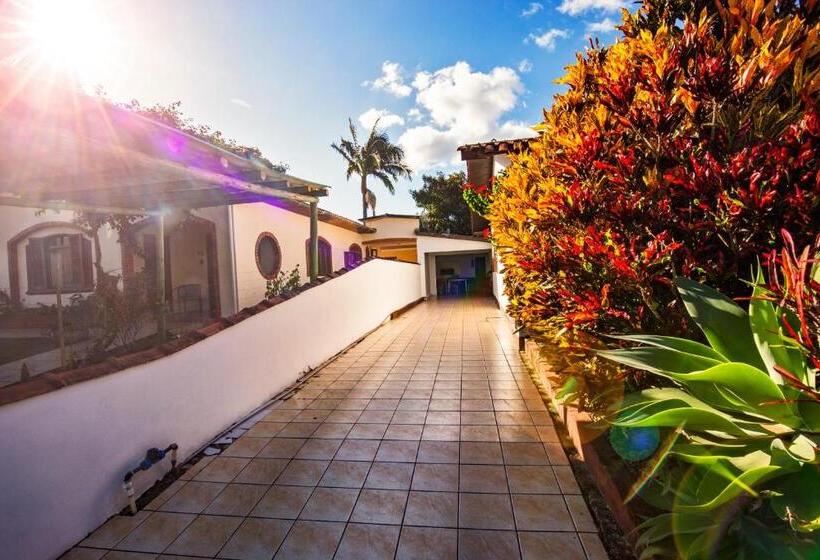 스탠다드 룸 공동 욕실, Ecohostel Dos Canyons Santa Catarina