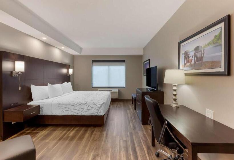 带大床的标准间, Best Western Premier Northwood