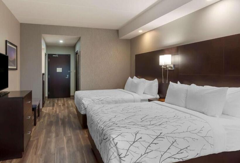 套房, Best Western Premier Northwood