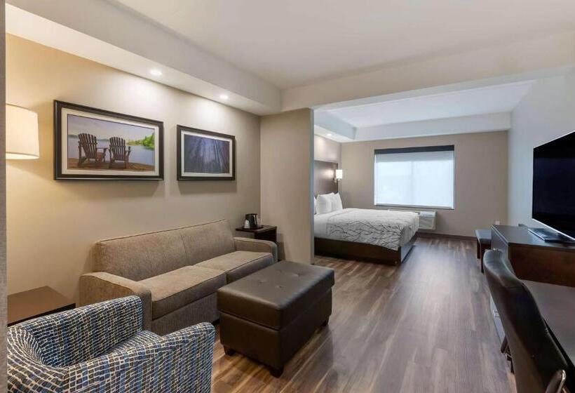 带大床的套房, Best Western Premier Northwood