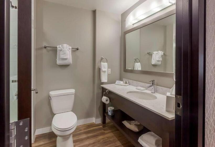 带大床的套房, Best Western Premier Northwood
